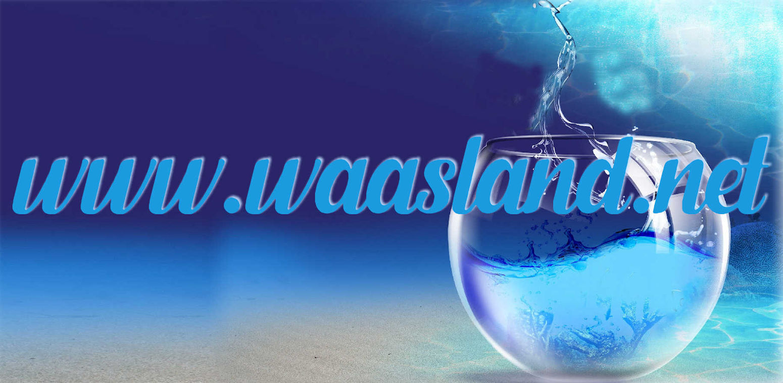 Waasland.net